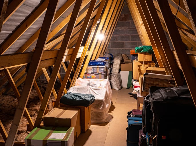 Attic Cleaning